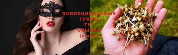 дживик Алзамай