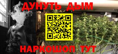 индика Заводоуковск