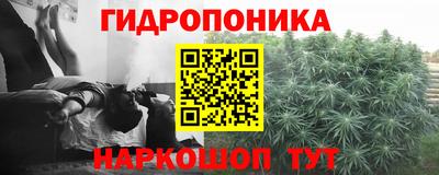 индика Заводоуковск
