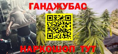 индика Заводоуковск