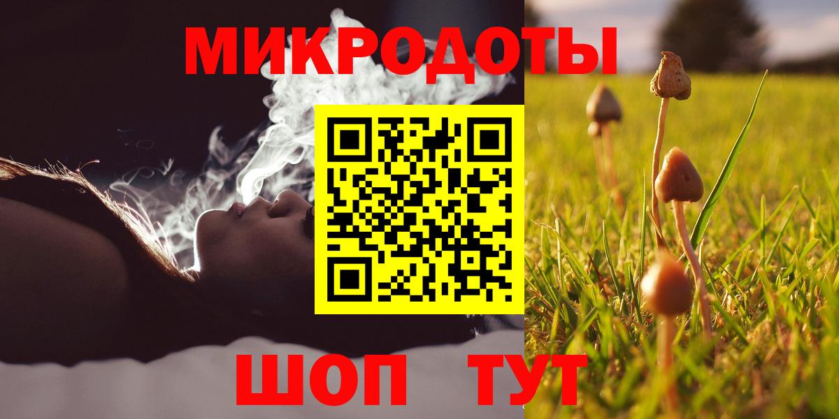 купить наркоту  Вход с VPN  Тайшет  Галлюциногенные грибы Psilocybe 