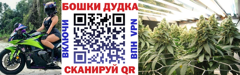 закладки  Тайшет  МАРИХУАНА SATIVA & INDICA 
